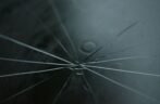 Windshield Repair vs. Replacement: A Cincinnati Driver’s Guide